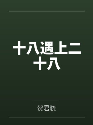十八遇上二十八